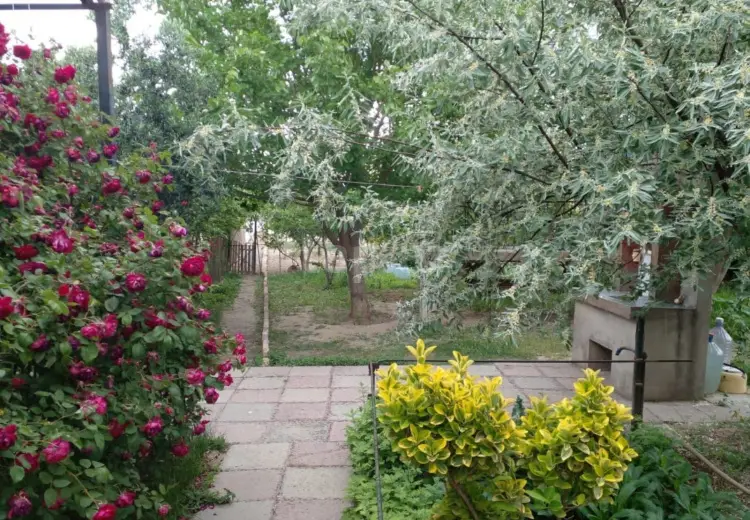 3 otaqlı mənzil , Sumqayıt