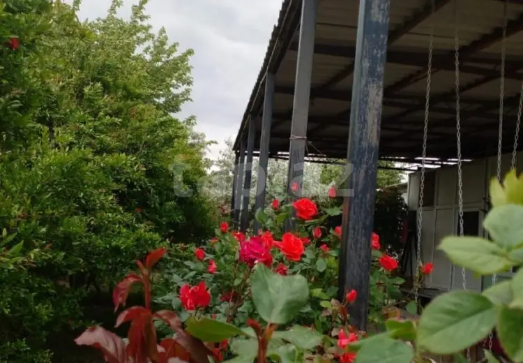 3 otaqlı mənzil , Sumqayıt