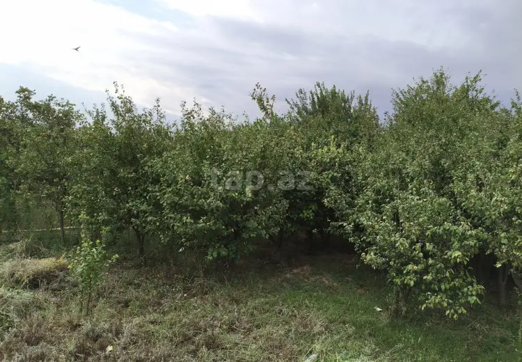 3 otaqlı mənzil , Sumqayıt