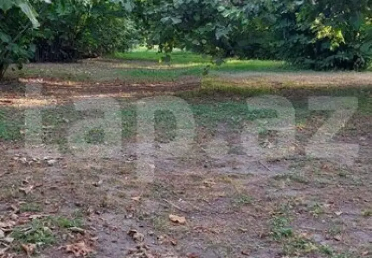 0 m² Obyekt / Ofis , Zaqatala