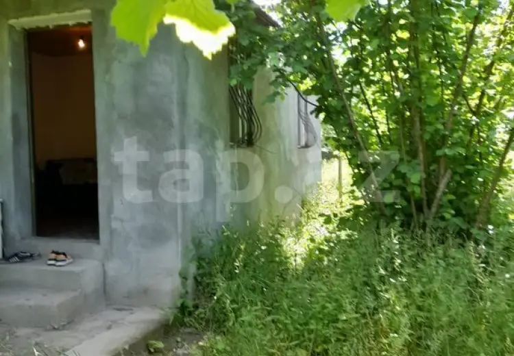 0 m² Obyekt / Ofis , Zaqatala