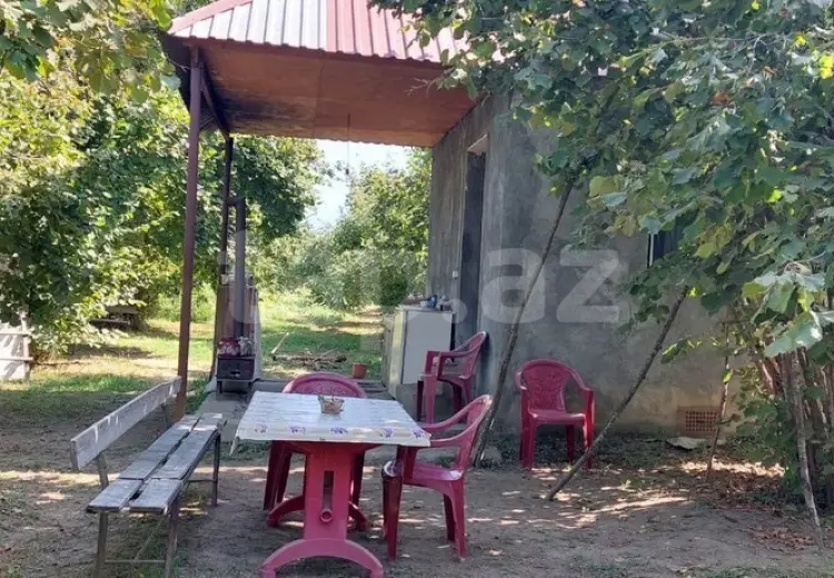 0 m² Obyekt / Ofis , Zaqatala