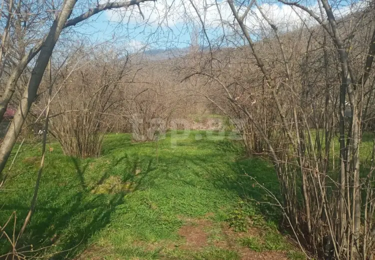 0 m² Obyekt / Ofis , Zaqatala