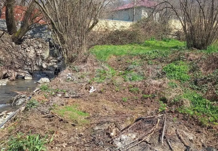 0 m² Obyekt / Ofis , Zaqatala