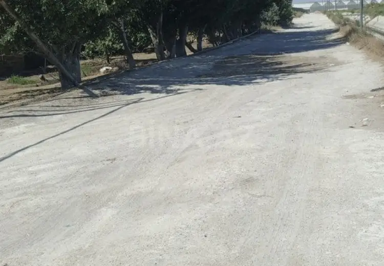 14 sot Torpaq Satılır, Zirə, Xəzər, Bakı