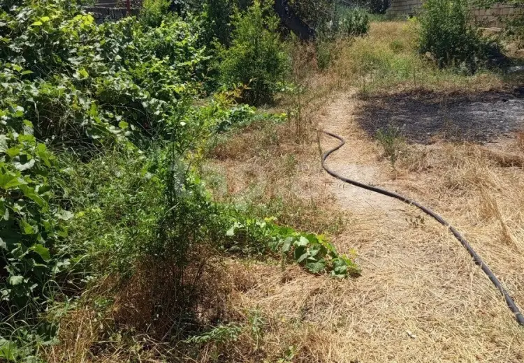 0 m² Obyekt / Ofis , Sabunçu, Bakı