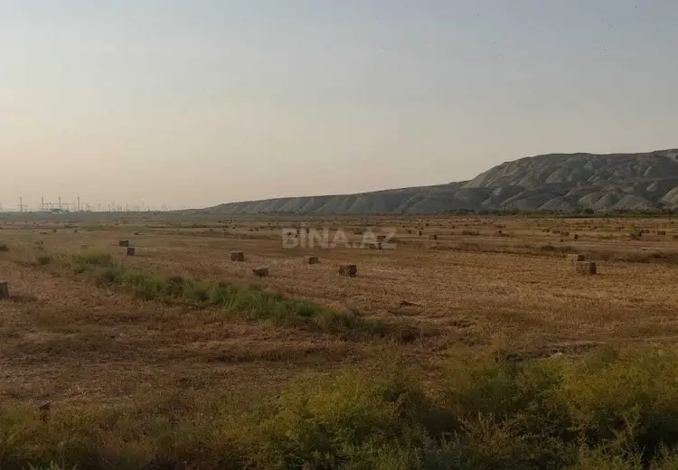 3000 sot Torpaq Satılır, Salyan