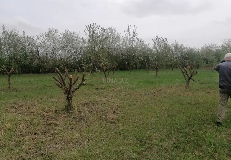 12 sot Torpaq Satılır, Qusar