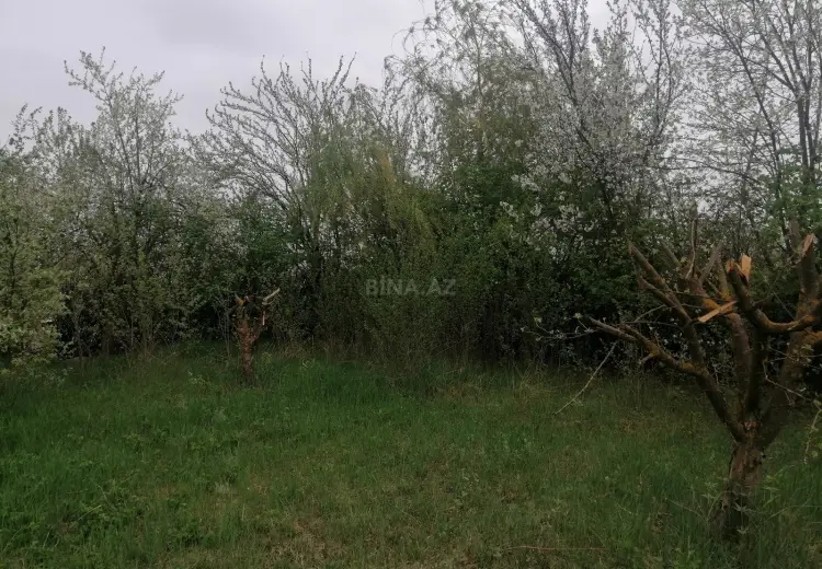 12 sot Torpaq Satılır, Qusar