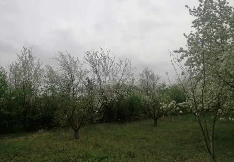 0 m² Obyekt / Ofis , Qusar