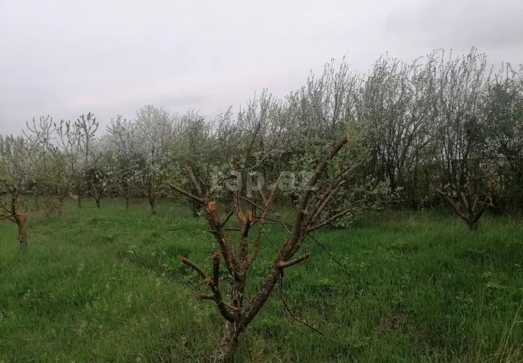 0 m² Obyekt / Ofis , Qusar
