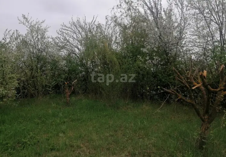 0 m² Obyekt / Ofis , Qusar