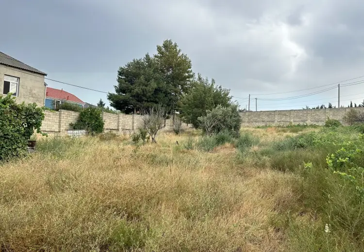 10 sot Torpaq Satılır, Saray, Abşeron