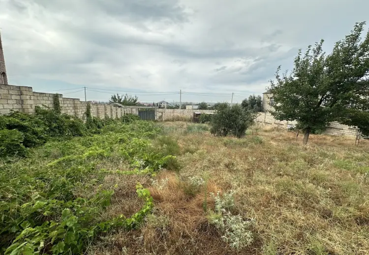 10 sot Torpaq Satılır, Saray, Abşeron