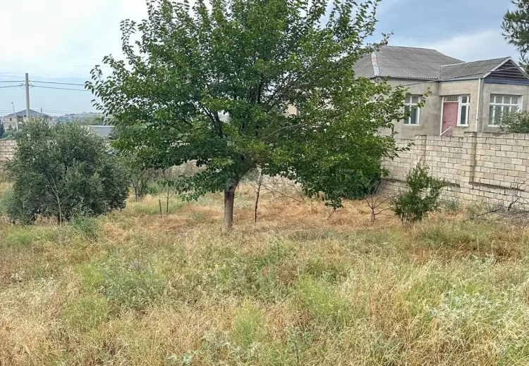 10 sot Torpaq Satılır, Saray, Abşeron