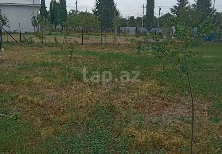 0 m² Obyekt / Ofis , Oğuz