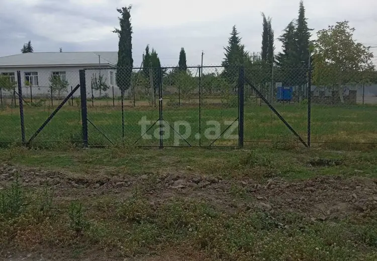 0 m² Obyekt / Ofis , Oğuz