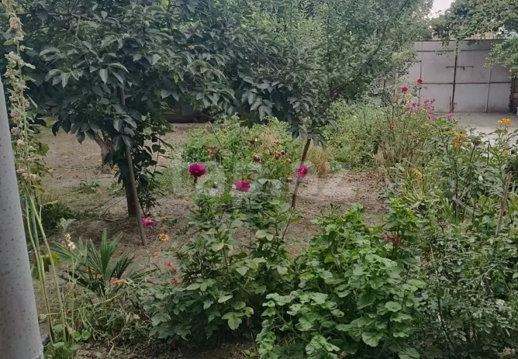 4 otaqlı mənzil , Şəki