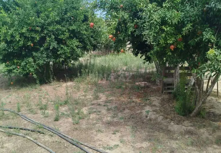3 sot Torpaq Satılır, Sabunçu, Bakı
