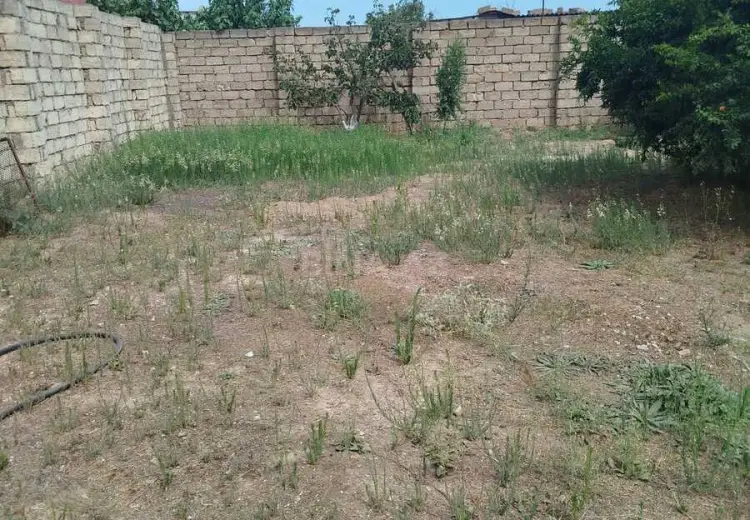 3 sot Torpaq Satılır, Sabunçu, Bakı