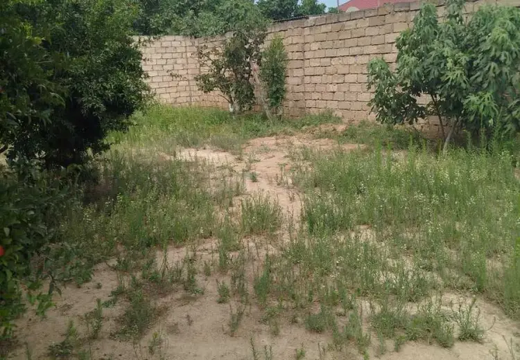3 sot Torpaq Satılır, Sabunçu, Bakı