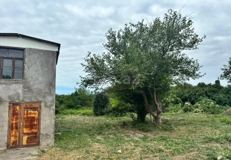 0 m² Obyekt / Ofis , Bakı