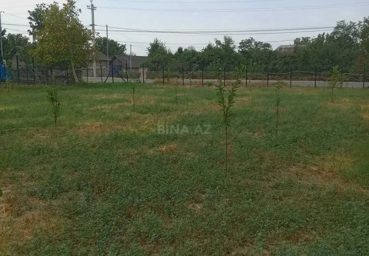 6 sot Torpaq Satılır, Oğuz