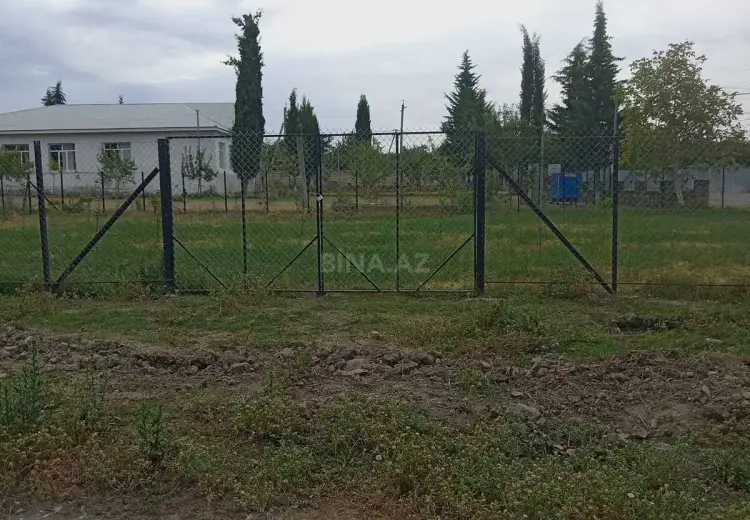 6 sot Torpaq Satılır, Oğuz