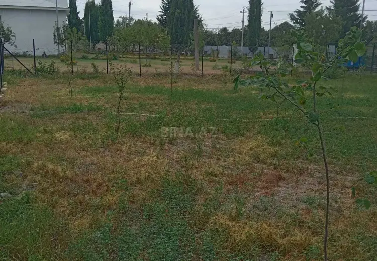 6 sot Torpaq Satılır, Oğuz