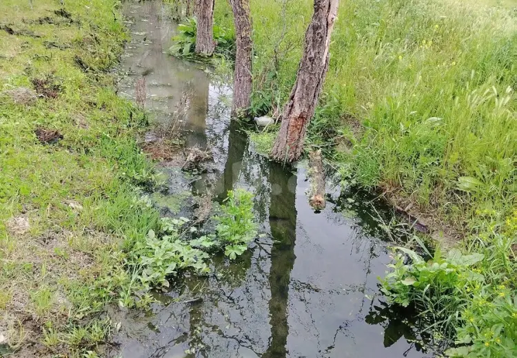 4 otaqlı mənzil , Xaçmaz