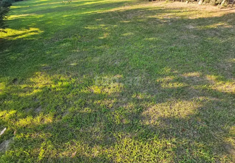 0 m² Obyekt / Ofis , Nardaran qəs., Sabunçu, Bakı