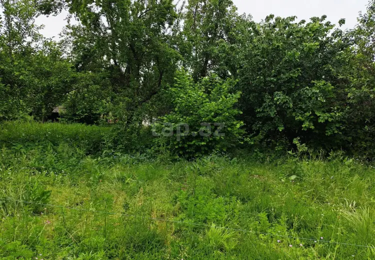 0 m² Obyekt / Ofis , İsmayıllı