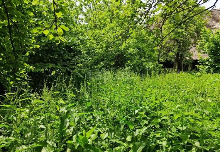 0 m² Obyekt / Ofis , İsmayıllı