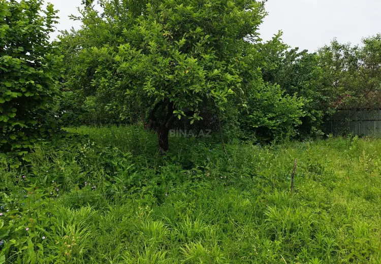 9 sot Torpaq Satılır, İsmayıllı