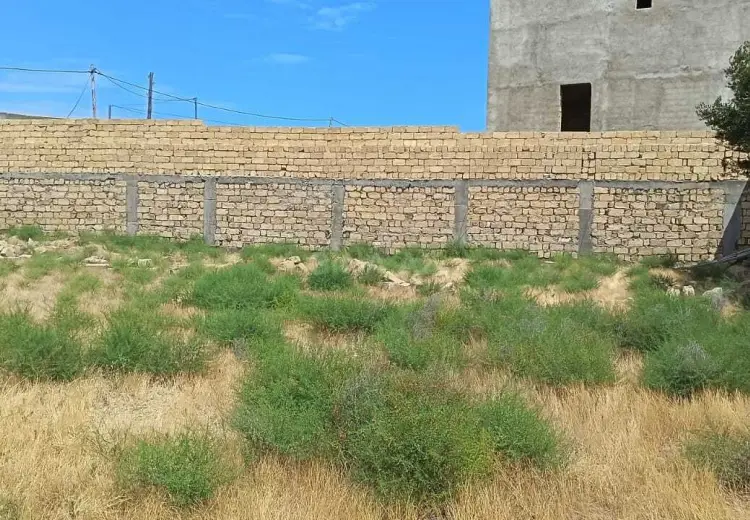 6 sot Torpaq Kirayə (aylıq), Abşeron