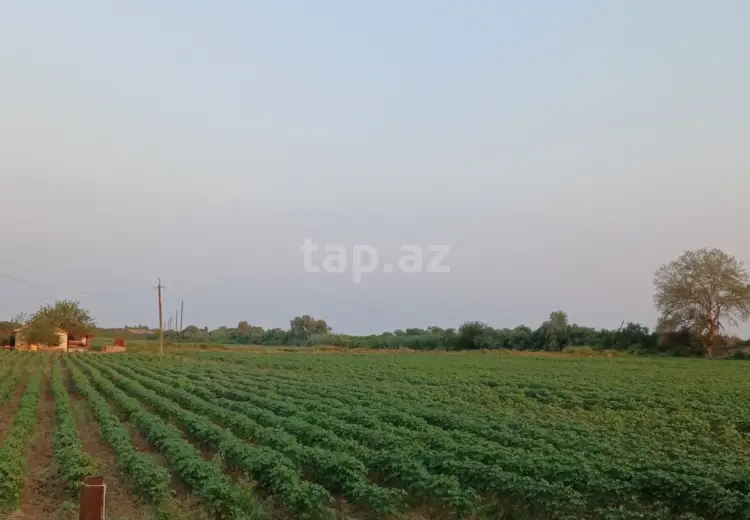 0 m² Obyekt / Ofis , Sabirabad