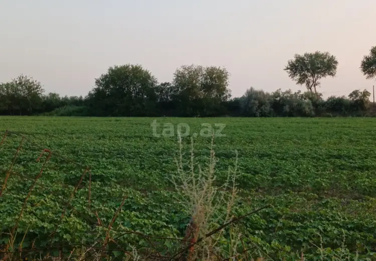 0 m² Obyekt / Ofis , Sabirabad