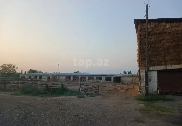 0 m² Obyekt / Ofis , Sabirabad