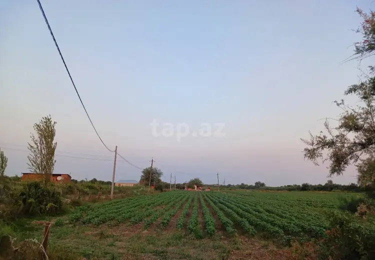0 m² Obyekt / Ofis , Sabirabad