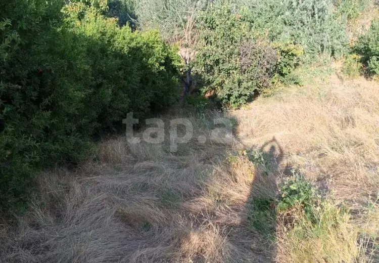 0 m² Obyekt / Ofis , Şamaxı