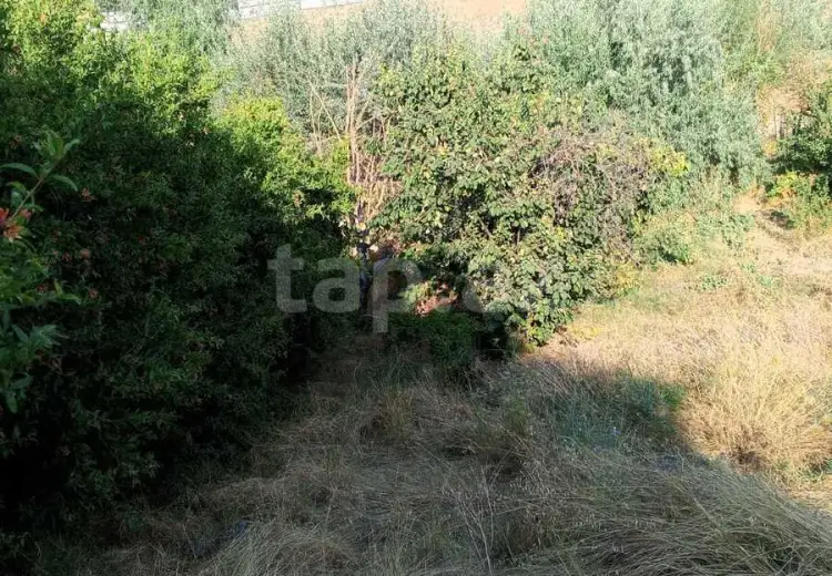 0 m² Obyekt / Ofis , Şamaxı