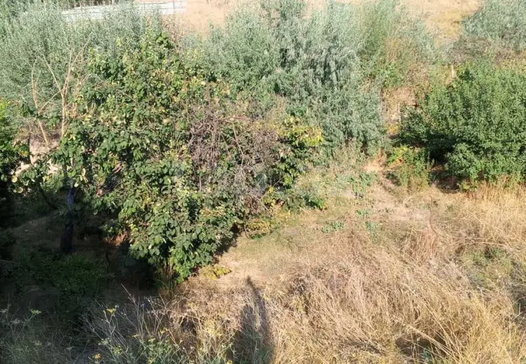 0 m² Obyekt / Ofis , Şamaxı