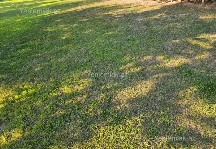 24 sot Torpaq Satılır, Nardaran qəs., Sabunçu, Bakı