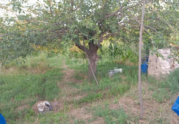 5 otaqlı mənzil , Göygöl