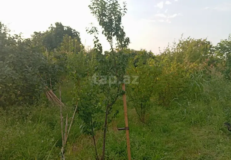 5 otaqlı mənzil , Göygöl