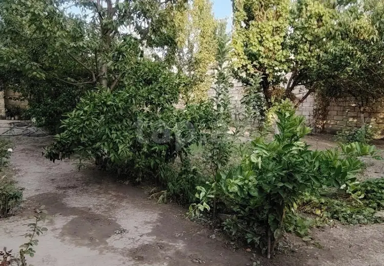 5 otaqlı mənzil , Ağdaş