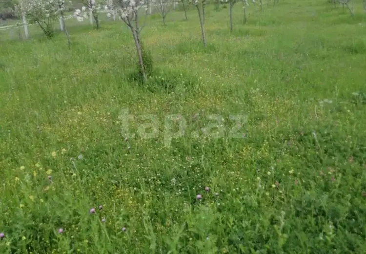5 otaqlı mənzil , İsmayıllı