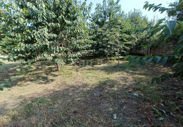 0 m² Obyekt / Ofis , Quba