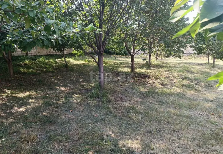 0 m² Obyekt / Ofis , Quba