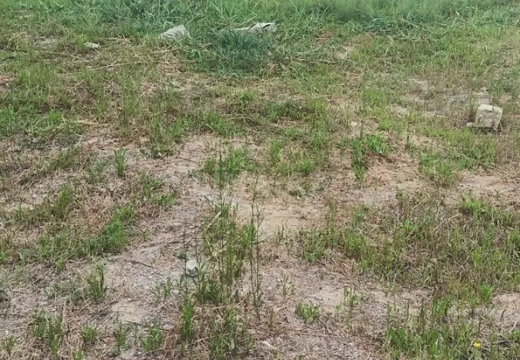 6 sot Torpaq Satılır, Novxanı, Abşeron
